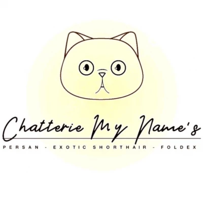 Chatterie My Name's